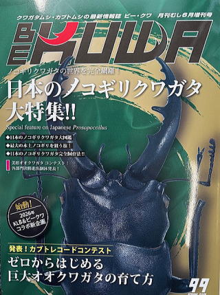 クワガタ・カブト・昆虫専門店『ドルクスグッズ