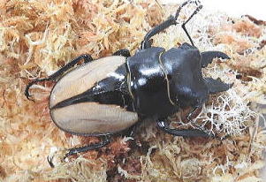 DSCN919511.jpg