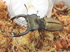 DSCN921111.jpg