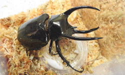DSCN921911.jpg